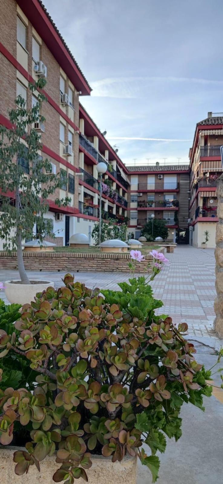 קורדובה Loft A La Verita River, Parking Free מראה חיצוני תמונה